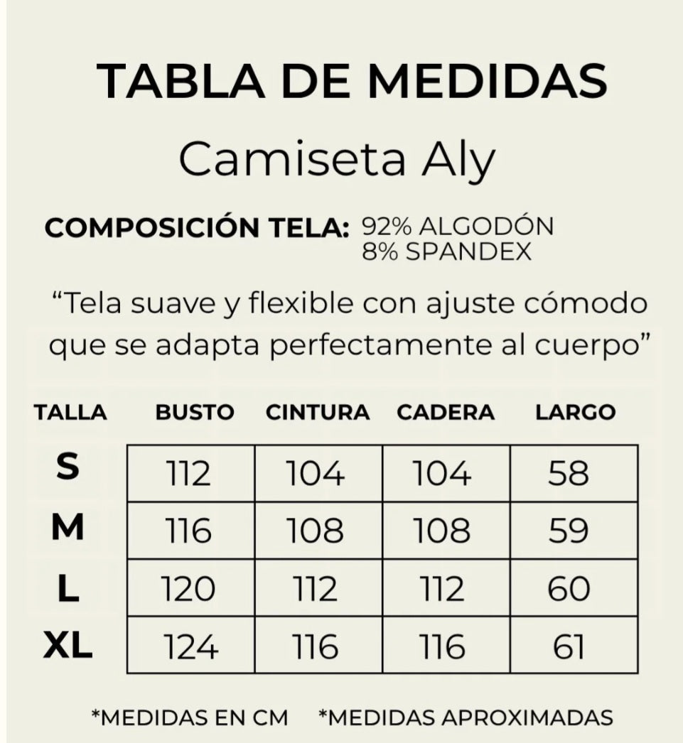 Camiseta Aly Plane Cocoa
